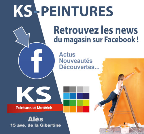 KS peintures Seigneurie Alès